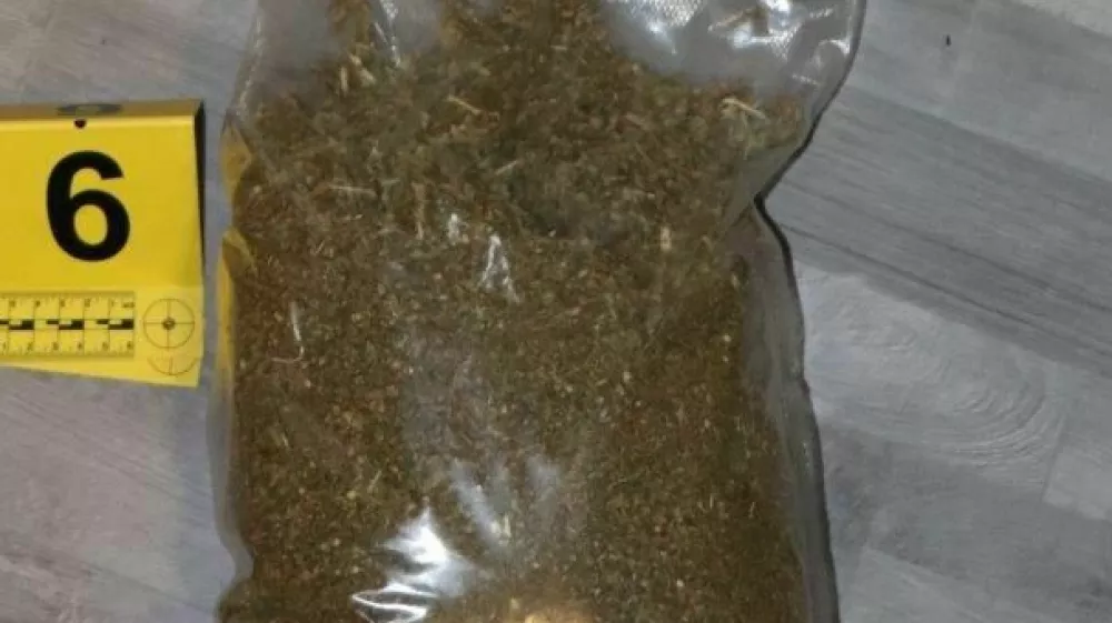 Del zasežene konoplje. Foto: PU Koper
