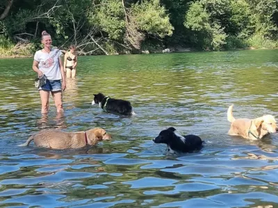 Poletje za Savo, psi, kopanje