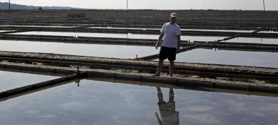 - Krajinski park Sečoveljske soline (KPSS) - Sečovlje- reportaža v Sečoveljskih solinah, Krajinskem parku in Muzeju solinarstva 2013 - //FOTO: Jaka GasarOPOMBA: ZA OBJAVO V PRILOGI - DNEVNIKOV OBJEKTIV - REPORTAŽA 2013