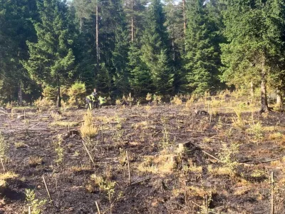 požar pogori&scaron;če smlednik