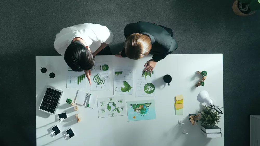 poni lur, podjetni&scaron;tvo / Foto: Nanostockk