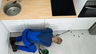 &Scaron;čurki napadli ljubljanske bloke in soseske