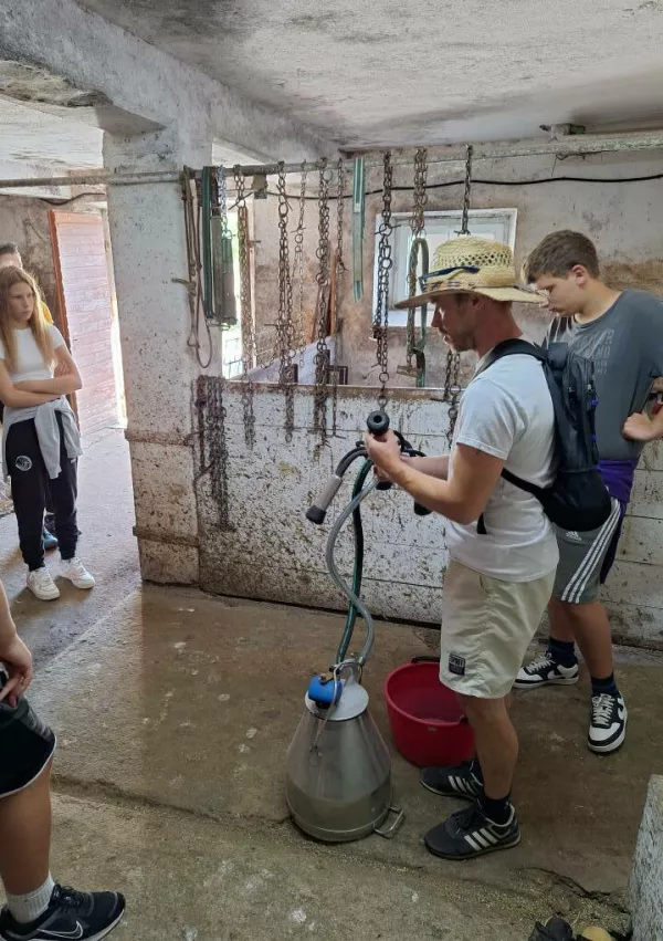 Mladinski center Nova Gorica, Tabor za mlade v Čepovanu / Foto: Mladinski Center Nova Gorica