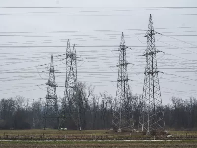 Je Eles zadovoljen s popravki omrežninske reforme?