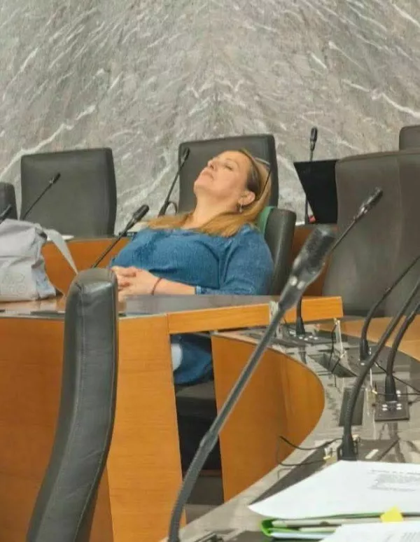 Lena Grgurević v parlamentu ni spala, kot so namigovali njeni parlamentarni kolegi, ampak razmi&scaron;ljala. 