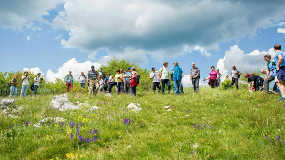Pohodni&scaron;tvo na Krasu na območju Parka &Scaron;kocjanskih jam 