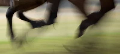 Spolni napad trenerja jahanja: Življenje žrtev je “na čakanju”