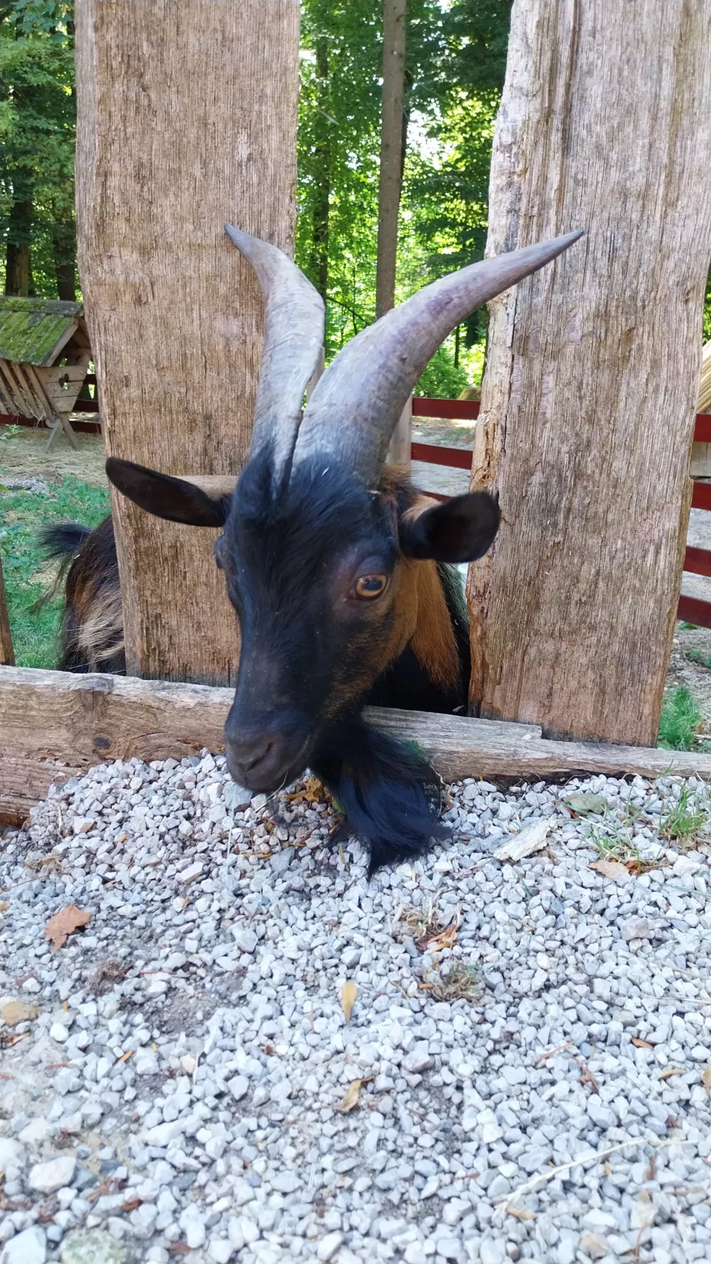 Menge&scaron;ka koča: Med naravo, tradicijo in domačnostjo