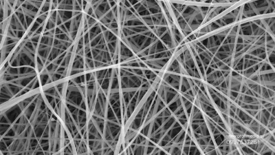 Ferrari Press Agency Thinnest pasta 1 Ref 1633922/11/2024See Ferrari textPicture MUST credit: Beatrice Britton / Adam Clancy / UCLThe world's thinnest spaghetti, 200 times less thick than a human hair, has been created by researchers.The stringy pasta favourite is not intended to be a new food but was created because of the wide-ranging uses that extremely thin strands of material, called nanofibers, have in medicine and industry.Nanofibers made of starch &ndash; produced by most green plants to store excess glucose &ndash; are especially promising and could be used in bandages to aid wound healing, as scaffolding for bone regeneration and for drug delivery. However, they rely on starch being extracted from plant cells and purified, a process requiring much energy and water.A more environmentally friendly method, the researchers say, is to create nanofibers directly from a starch-rich ingredient like flour, which is the basis for pasta.The team from the UK's University College London (UCL) made spaghetti just 372 nanometres, billionths of a metre, across using a technique called electrospinning.Threads of flour and liquid are pulled through the tip of a needle by an electric charge. The work was performed by chemistry master degree student Beatrice Britton.OPS: The world's thinnest spaghetti. Each individual strand is too narrow to be clearly captured by any form of visible light camera or microscope, so the team used a scanning electron microscope.Picture supplied by Ferrari,Fotografija:937537261, Licenca:Rights-managed, Omejitve:, Model izdaje:no