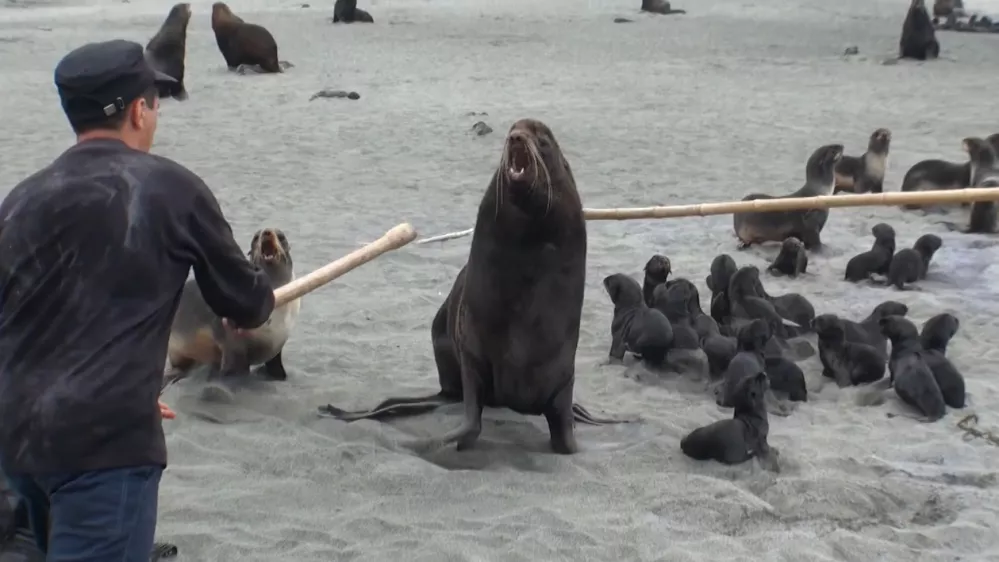Kamčatka - zdravilo proti sovra&scaron;tvuKAMCHATKA: THE CURE FOR HATREDruska dokumentarna oddaja, 2014