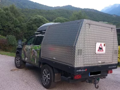 Germany, Bad Rippoldsau-Schapbach (Baden-W&uuml;rttemberg) - July 20, 2025.Bear Gaia - also known as JJ4 - transported from the Casteller Wildlife Center in the Italian province of Trentino to the Alternative Park for Bears and Wolves'' in the Black Forest, where her mother Jurka and her sister DJ3 already live..JJ4 attacked and killed a hiker in the autonomous northern province of Trento (Trentino Alto Adige) in Italy.Archive photo,Image: 1023841965, License: Rights-managed, Restrictions: * France, Germany and Italy Rights Out *, Model Release: no