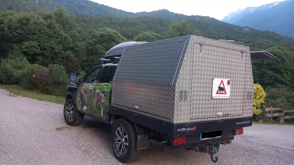 Germany, Bad Rippoldsau-Schapbach (Baden-W&uuml;rttemberg) - July 20, 2025.Bear Gaia - also known as JJ4 - transported from the Casteller Wildlife Center in the Italian province of Trentino to the Alternative Park for Bears and Wolves'' in the Black Forest, where her mother Jurka and her sister DJ3 already live..JJ4 attacked and killed a hiker in the autonomous northern province of Trento (Trentino Alto Adige) in Italy.Archive photo,Image: 1023841965, License: Rights-managed, Restrictions: * France, Germany and Italy Rights Out *, Model Release: no