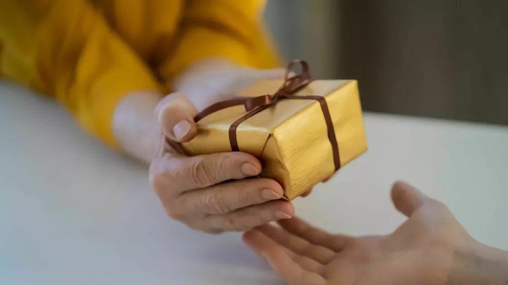 darilo, dobrodelnost, zavod.