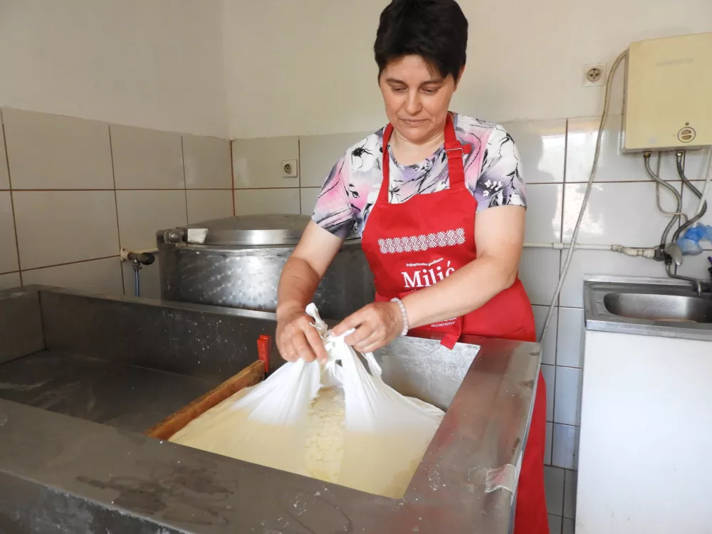 Diana MilićČiniglavci, proizvodnja sira Karitas Srbija / Foto: Katja Petrovec