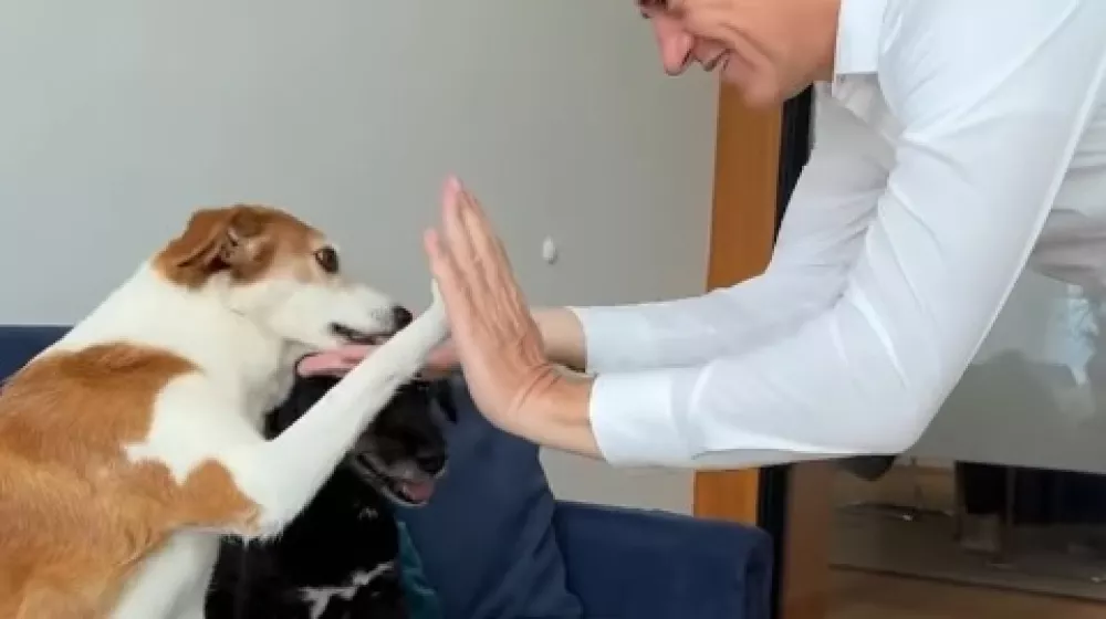 Takole je predsednik vlade Robert Golob z &raquo;daj mi petko&laquo; proslavil vnovično potrditev novele zakona o za&scaron;čiti živali. Foto: Instagram