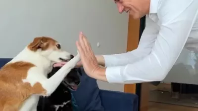 Takole je predsednik vlade Robert Golob z &raquo;daj mi petko&laquo; proslavil vnovično potrditev novele zakona o za&scaron;čiti živali. Foto: Instagram