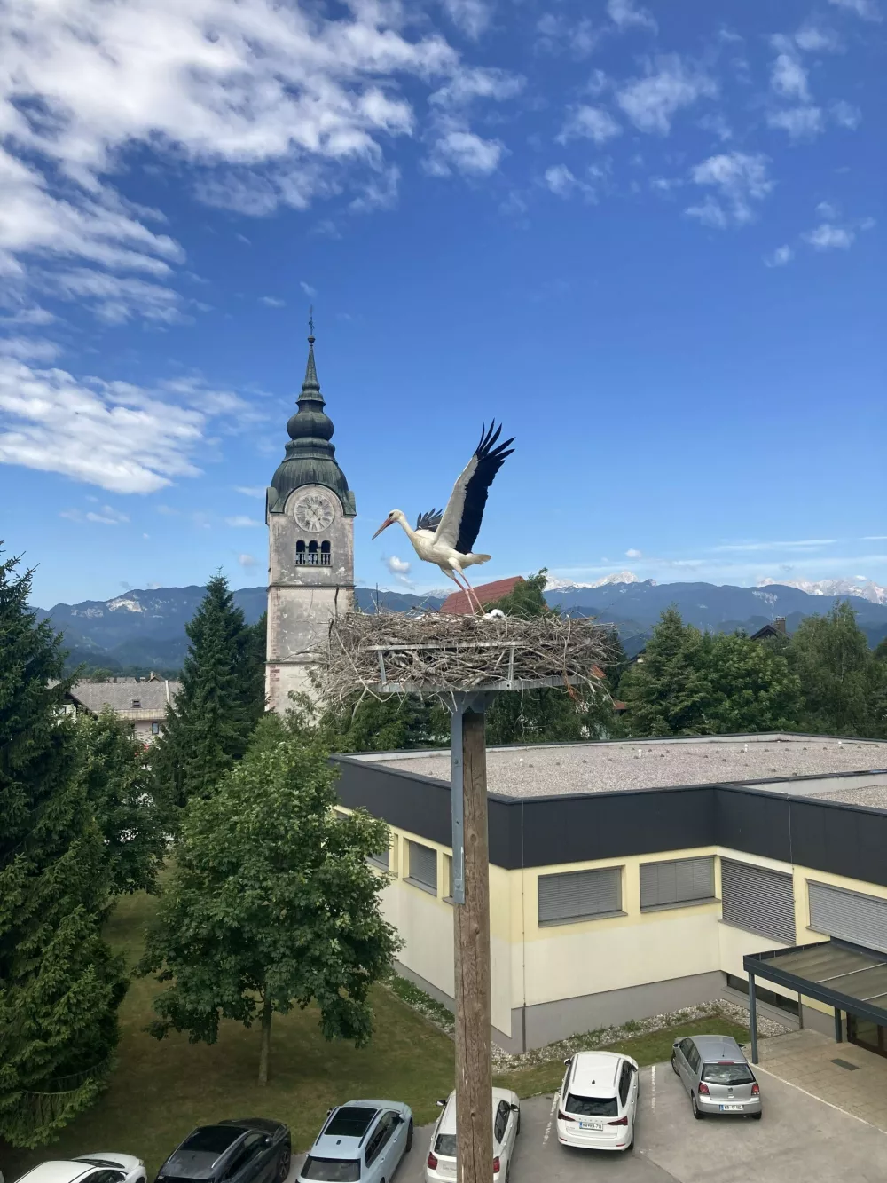 &scaron;torklje gnezdo Lesce