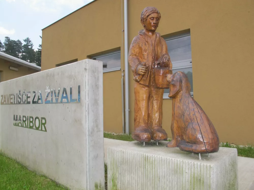 Zaveti&scaron;če za živali Maribor