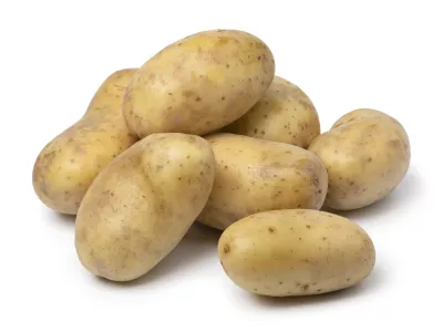 Krompir vrste Lavante