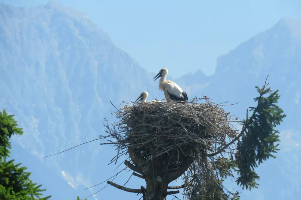 Foto: Ur&scaron;a Očko