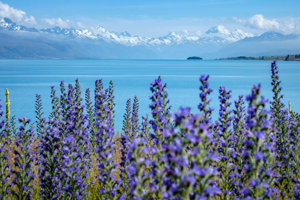 Image: 766476878, License: Rights-managed, Restrictions:, Model Release: no