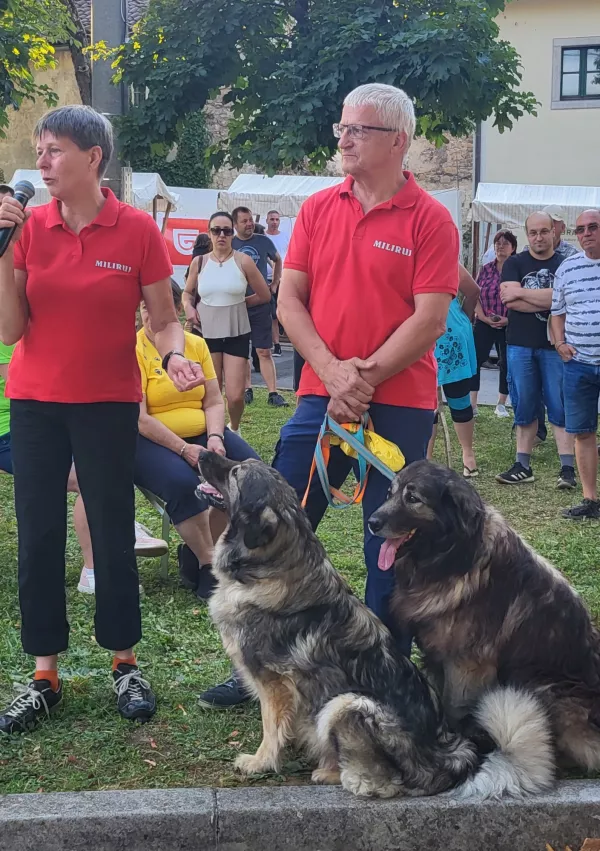 Kra&scaron;ki ovčar, prireditev Senožeče, Damjana in Davorin Lisjak, Miliruj / Foto: Katja Gle&scaron;čič 