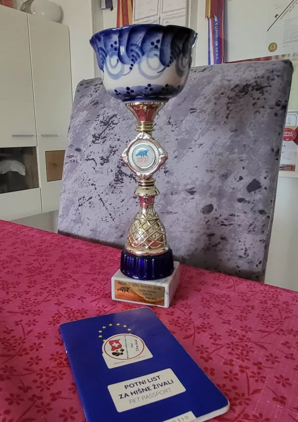 Kra&scaron;ki ovčar Mila, pokal Moskva, Damjana in Davorin Lisjak, Miliruj / Foto: Katja Gle&scaron;čič 
