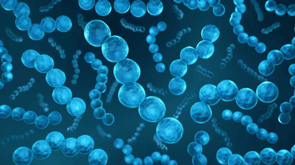 3D-ilustracija probiotika Streptococcus bacteria