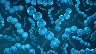 3D-ilustracija probiotika Streptococcus bacteria