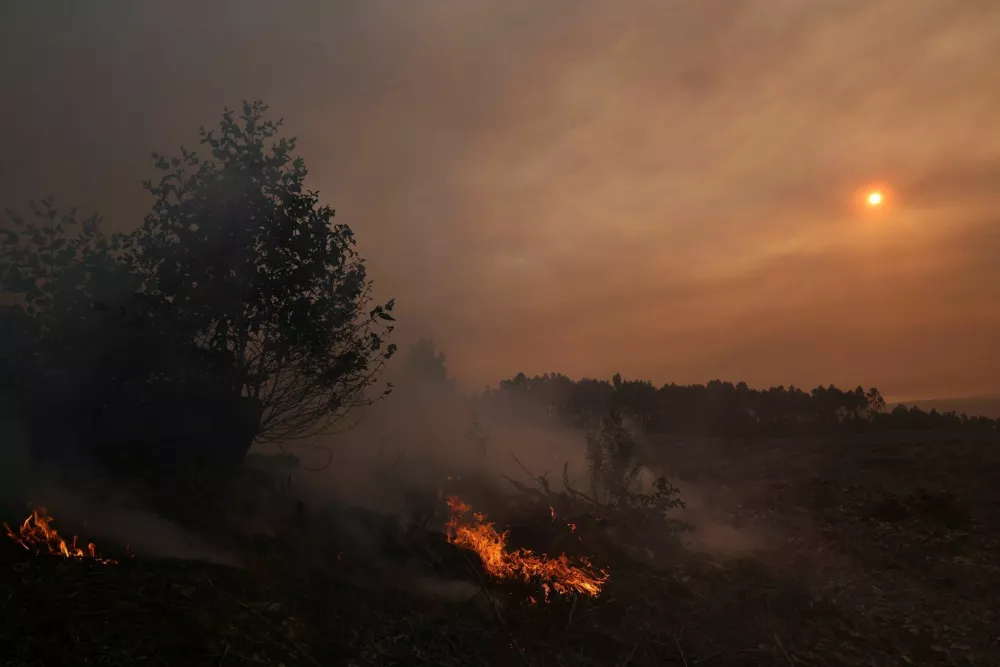 Flare-ups ignite remaining vegetation in the aftermath of a wildfire, Arouca region, Portugal, July 30, 2025. REUTERS/Violeta Santos Moura   TPX IMAGES OF THE DAY