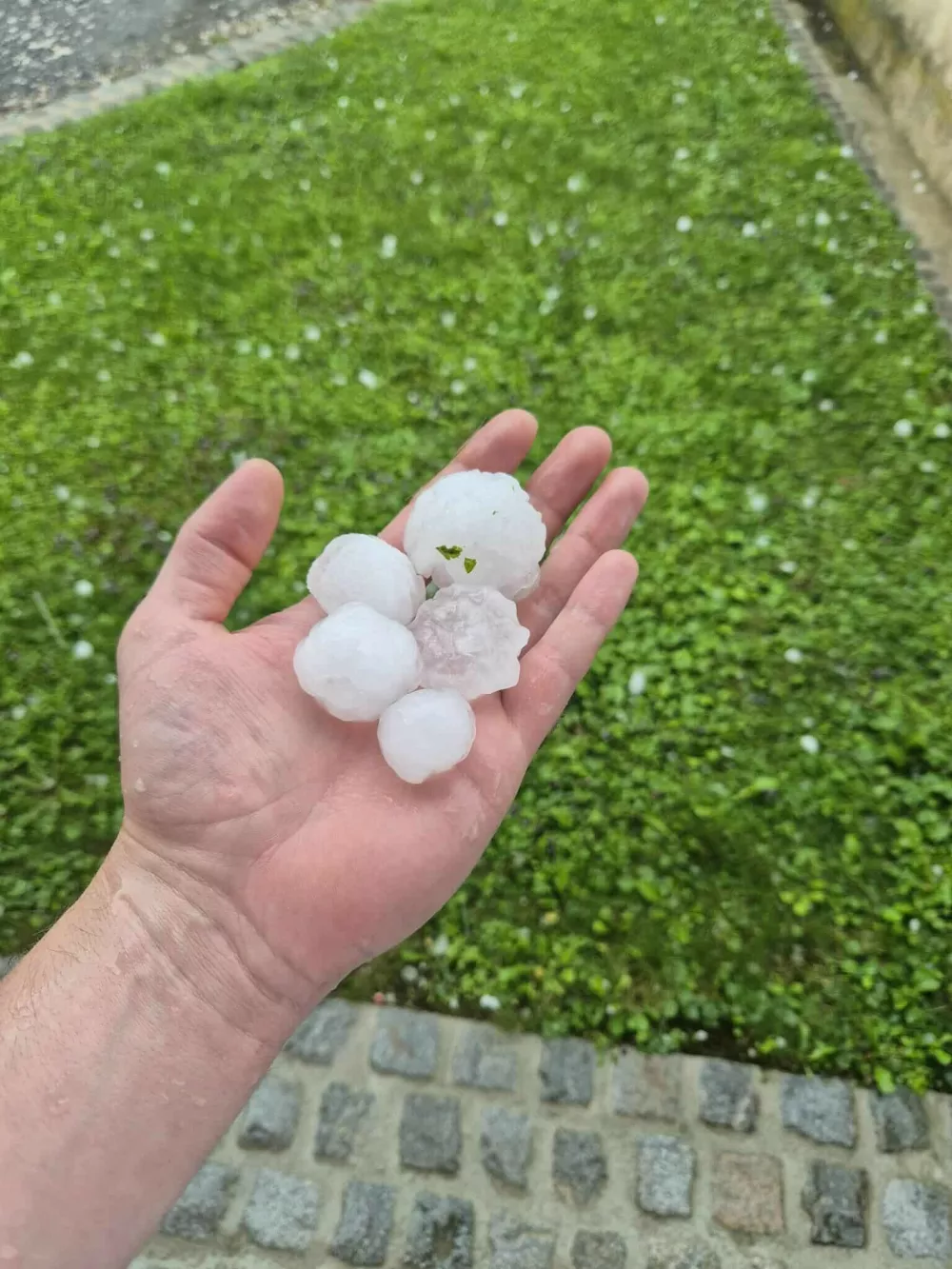 Toča &Scaron;empeter