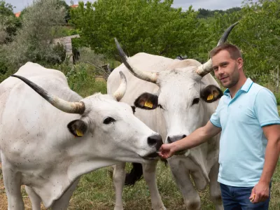 Martin Perič: Cena bo&scaron;karina je vsaj trideset odstotkov vi&scaron;ja od cene navadne govedine. F Jaka Jera&scaron;a