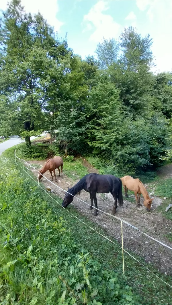 Le pol ure vožnje iz Ljubljane je družinam prijazna izletni&scaron;ka točka