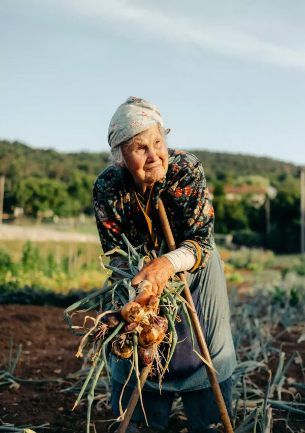  f fd / Foto: Vfd Fvd