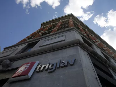 Prevzemi slovenskih podjetij gredo Hrvatom dobro od rok