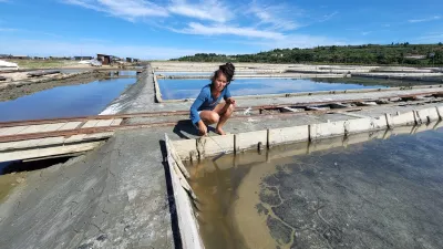 Sečovlje soline, dr. Maja Bjelica / Foto: Katja Gle&scaron;čič 