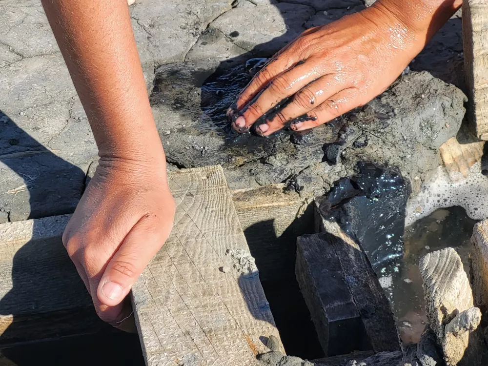 Sečovlje soline, dr. Maja Bjelica / Foto: Katja Gle&scaron;čič 