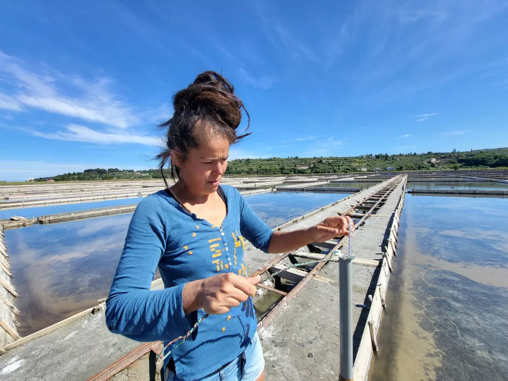 Sečovlje soline, dr. Maja Bjelica / Foto: Katja Gle&scaron;čič 