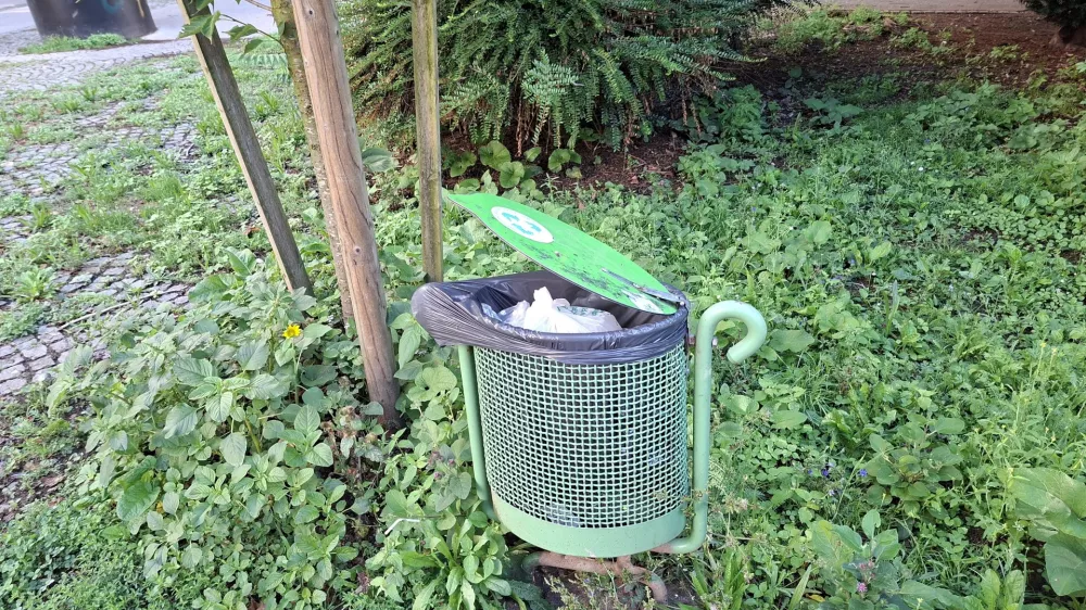 Odpadki okoli ko&scaron;a za smeti: Vrane izkori&scaron;čajo neodgovornost občanov