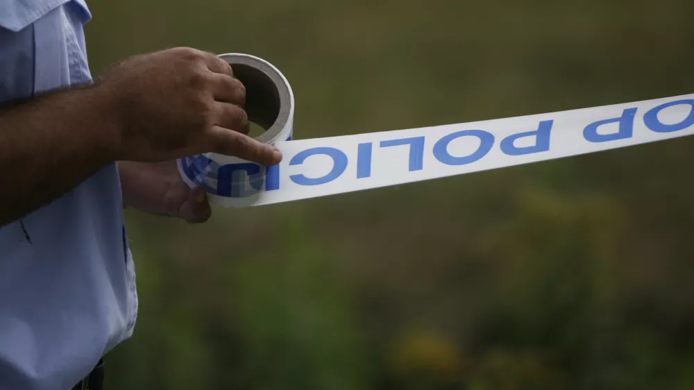 Foto:&nbsp;Bojan Velikonja