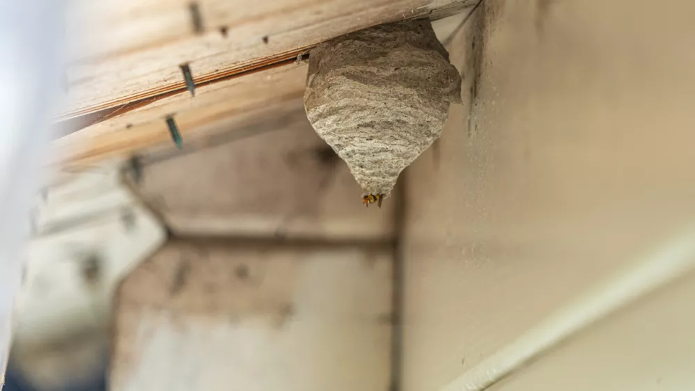 Simbolična fotografija Foto: iStock