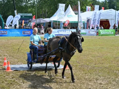 Foto: Zauneker, d.o.o.