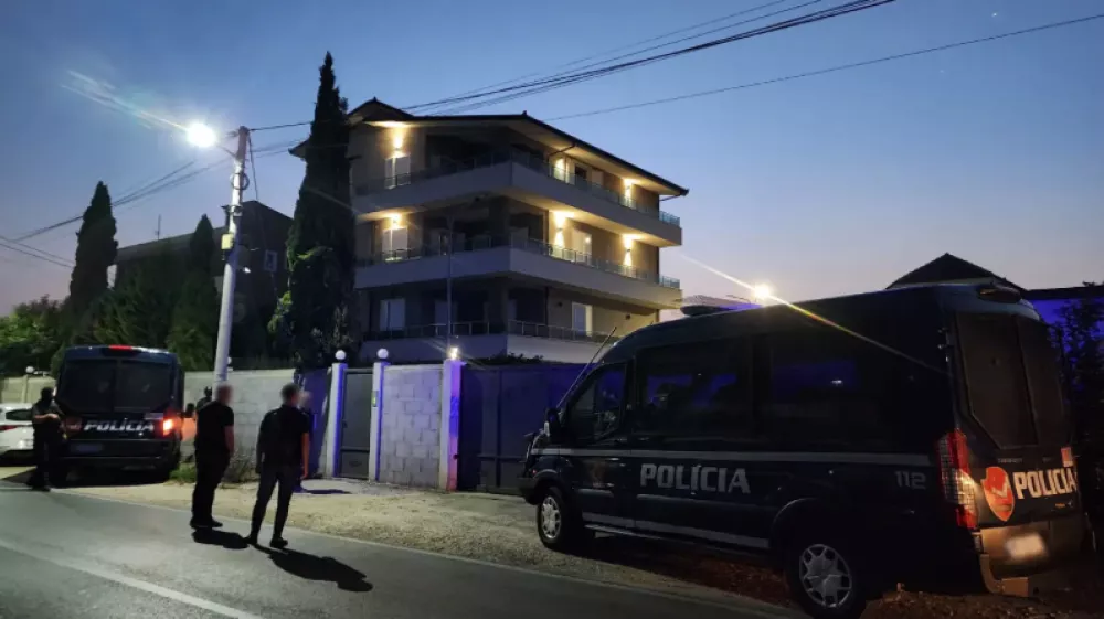 Europol, akcija v Albaniji, avgust 2025,pranje denarja, kokain, albanska mafija