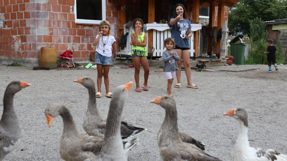 PREGLED LETA - Romska problematika - Otavice//FOTO: Jaka GasarOPOMBA: ZA OBJEKTIV