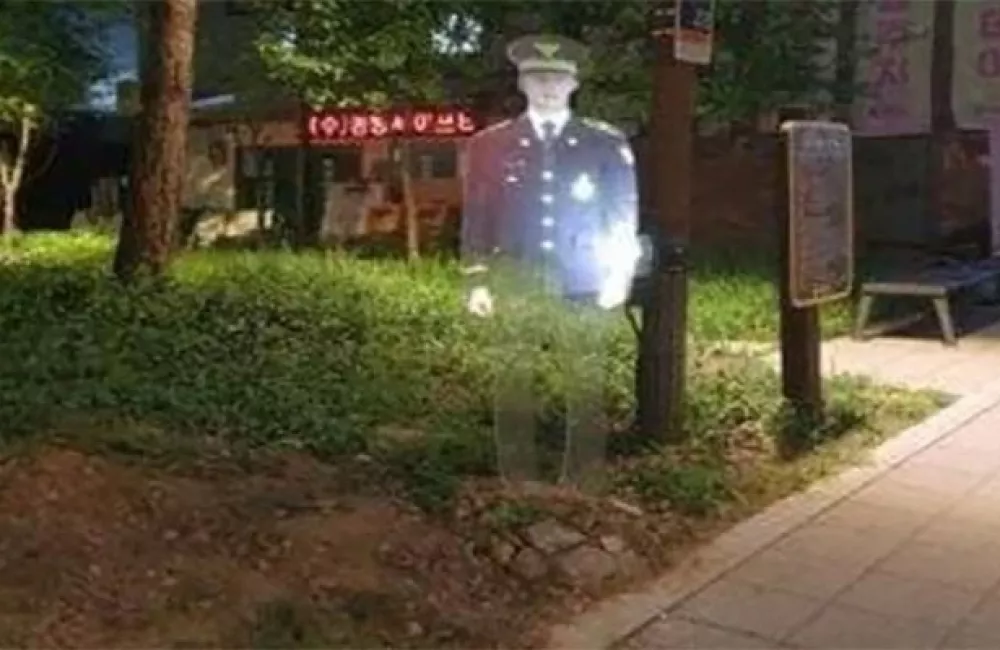 Obiskovalce parka po 19. uri pozdravi neobičajna podoba. / Foto: Južnokorejska Policija