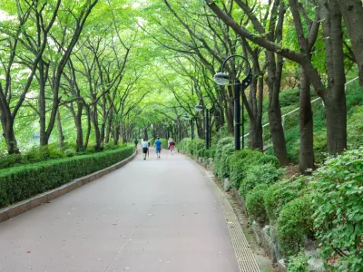 Prizor iz enega od parkov v Seoulu. Slika je simbolična. / Foto: Istock