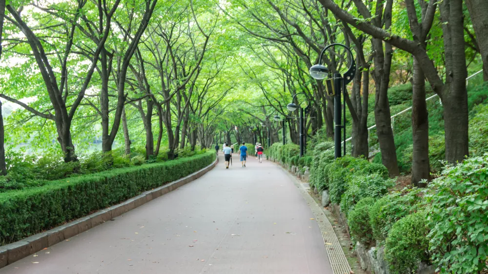 Prizor iz enega od parkov v Seoulu. Slika je simbolična. / Foto: Istock