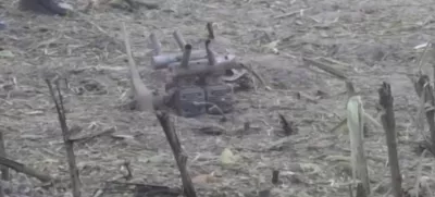 Posnetek padlega drona na Poljskem, predvidoma naj bi šlo za iranski tip Šahed, ki ga uporablja Rusija.