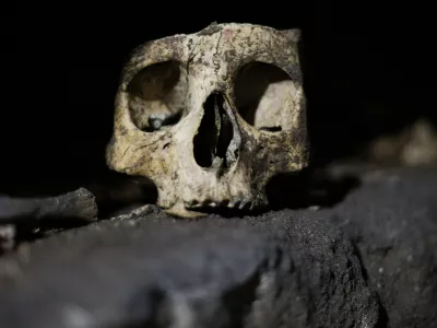 A skull is pictured inside the catacomb of Priscilla in Rome November 19, 2013. The catacomb, used for Christian burials from the late 2nd century through the 4th century, reopened on Tuesday to the public after years of restoration. The complex will also be viewable in a dedicated section of Google Maps, according to a Vatican press release. REUTERS/Max Rossi (ITALY - Tags: SOCIETY TRAVEL)