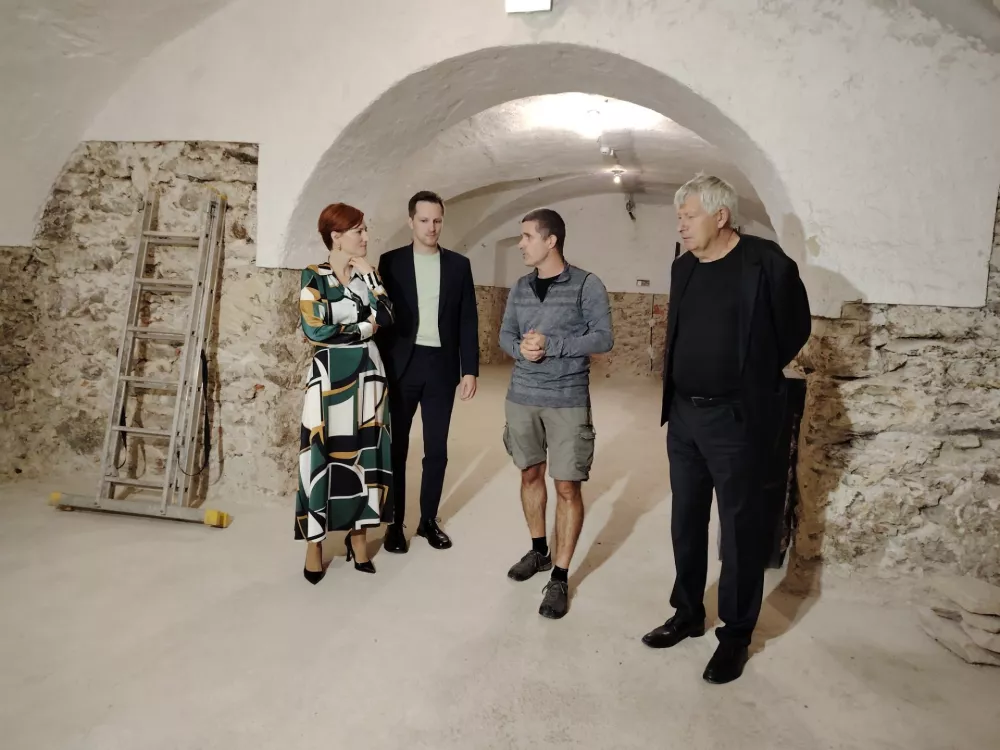 Celjski Pompeji bodo dostopni vsem: &raquo;Gre za izjemno odkritje rimske vile s freskami&laquo;